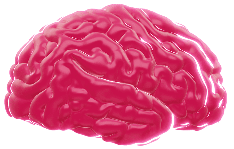 Hochaufgelöste Abbildung des Gehirns